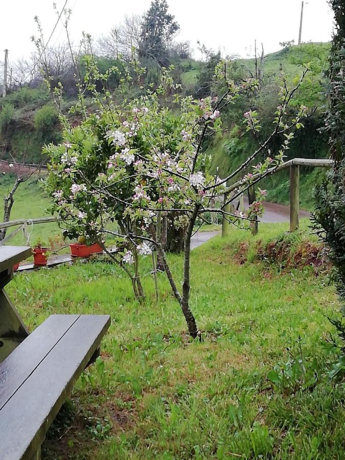 El Oteru I Guest House Villaviciosa  Exterior photo